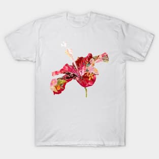 PixDezines Hibicus, red collage T-Shirt